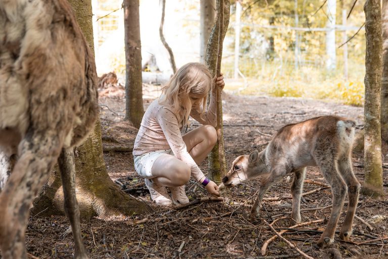 Visit to Reindeer Park
