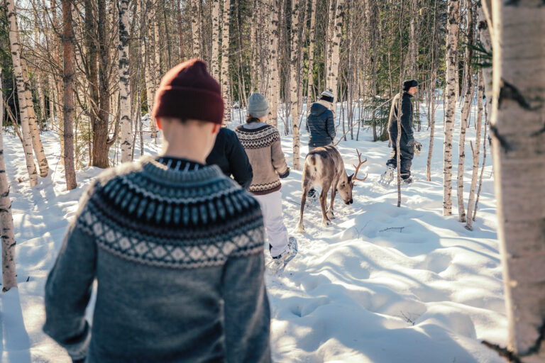 Noutopöytälounas ja jälkiruokakahvit poroaitauksen laavulla